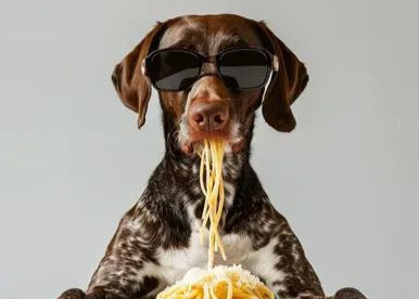 🐶 Top 7 Must-Have Pet Products for 2025