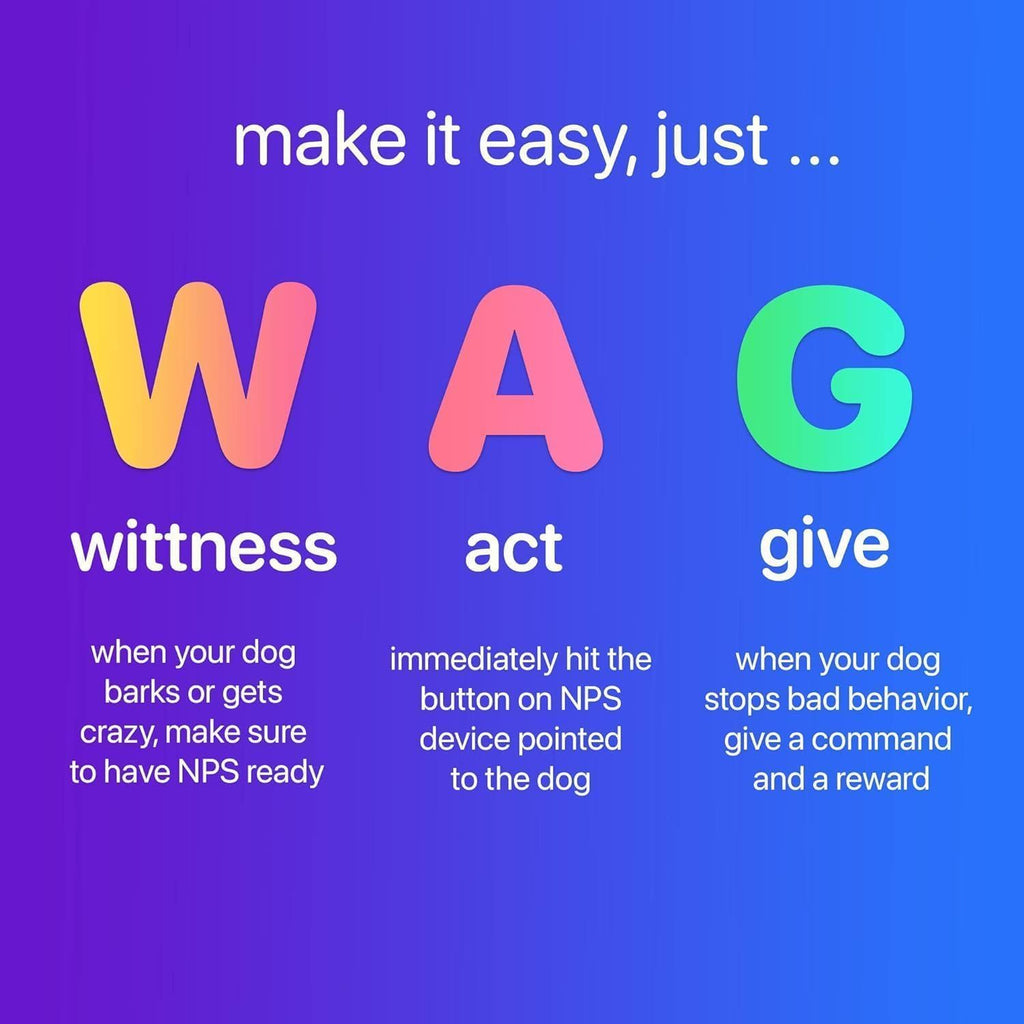 Rechargeable Dog Behavior Trainer with LED Flashlight